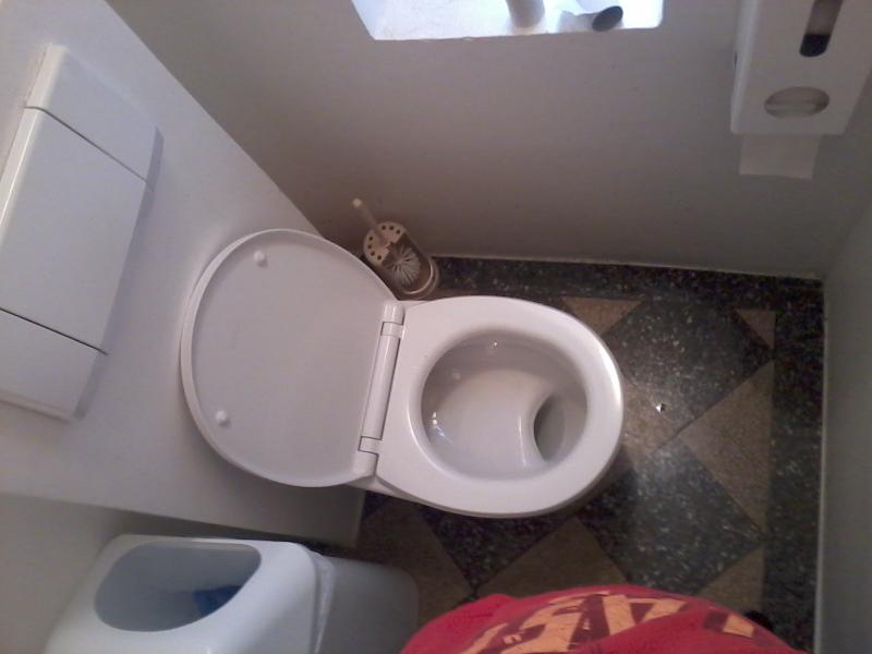 freuds-toilette