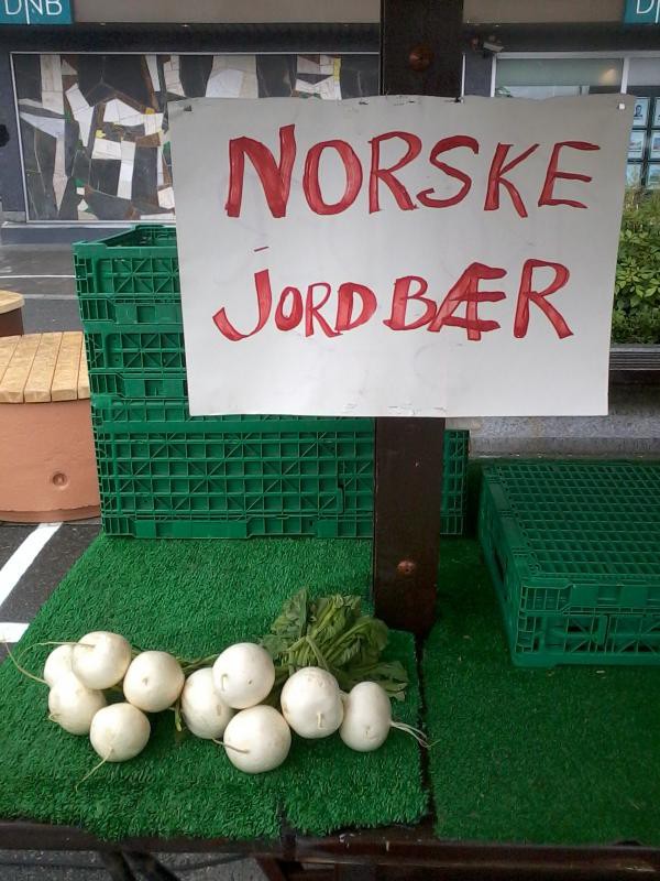 Norske Jordbaer