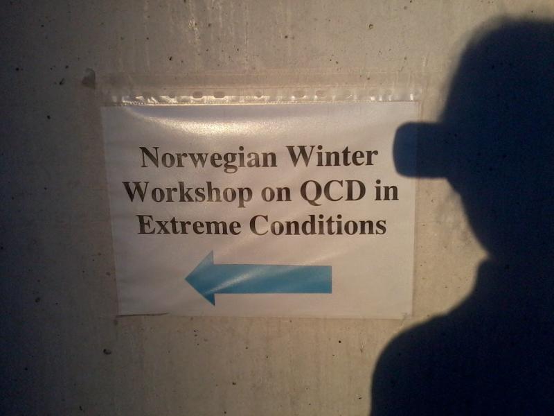 Norwegian Winter QCD