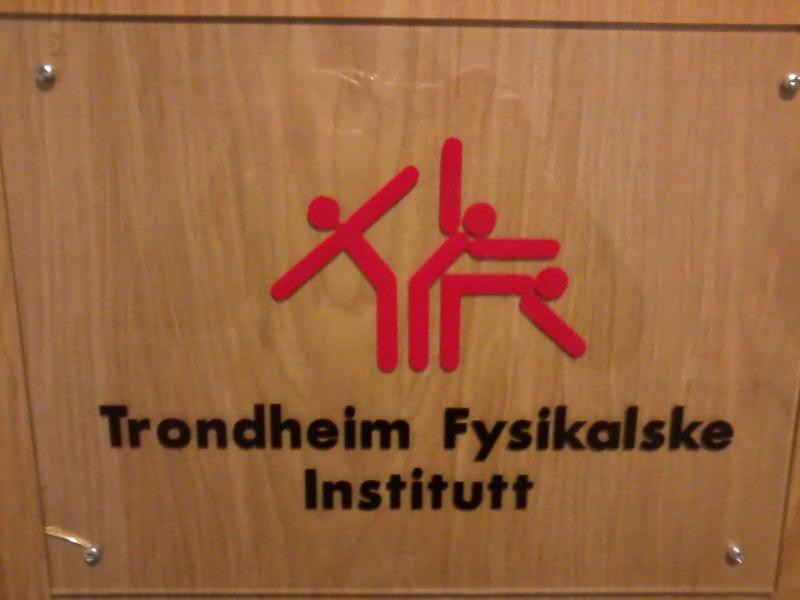 Trondheim Fysikalks Institut