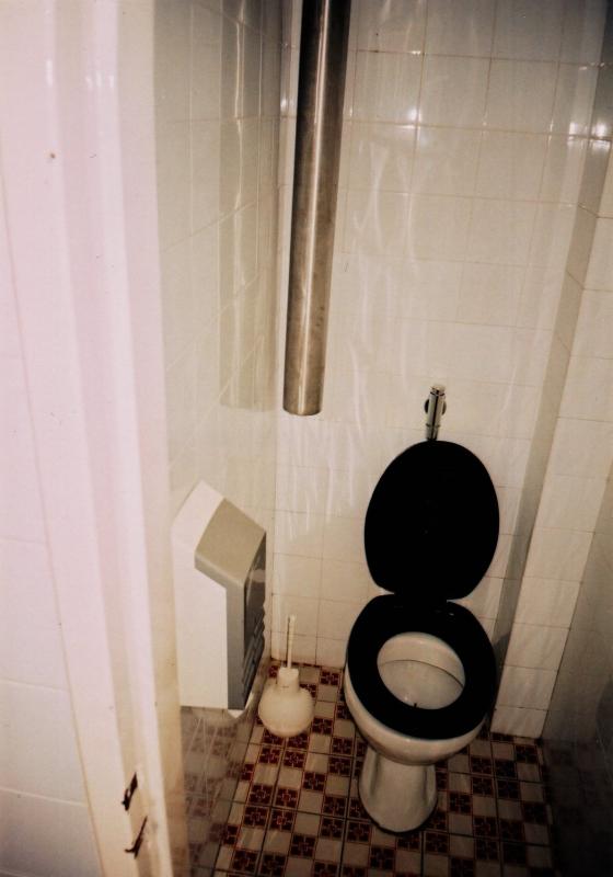 unbekannte-toilette_19